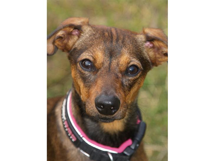 {{currentPhoto.altText}} billede {{currentPhoto.number}}