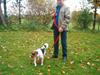 Jack russell terrier Bella