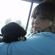 Blanding af racer Tito