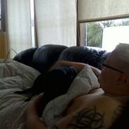 Blanding af racer Balto