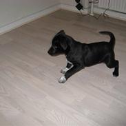 Blanding af racer Zara