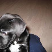 Blanding af racer Zara