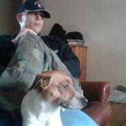 Dansk svensk gaardhund Jessie