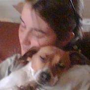 Dansk svensk gaardhund Jessie