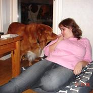 Nova scotia duck tolling retriever Gandalf (2003-2010)