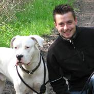 Dogo argentino Reggae