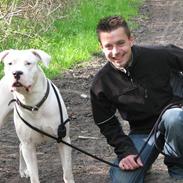 Dogo argentino Reggae