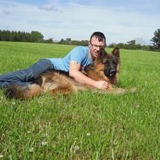 Schæferhund Dexter nyt hjem