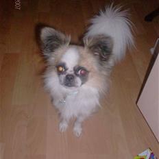 Blanding af racer Mads *R.I.P* <3<3<3<3<3