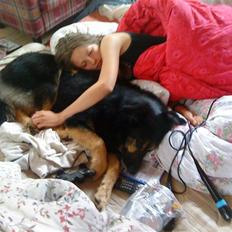 Blanding af racer Chili