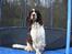 Engelsk springer spaniel Nemo 
