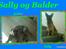 Boerboel Balder Teglborg*i himlen*