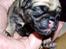 Mops Ibeth Pug Dominic Purcell