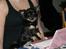 Chihuahua Selena