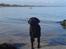 Labrador retriever (Formel 1) Blackie - Blackie ved Saksild 2008