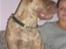 Blanding af racer REX .R.I.P 2009