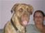 Blanding af racer REX .R.I.P 2009