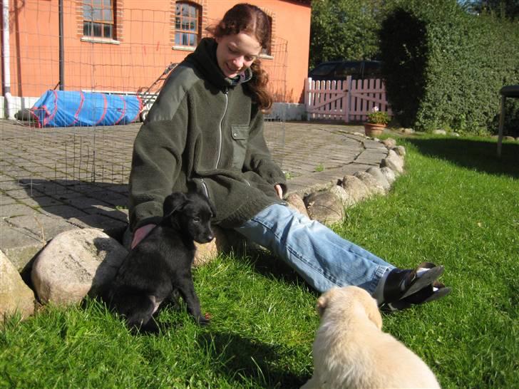 Blanding af racer Millie *R.I.P*<3ILU - Millie, Maya og mig! billede 5