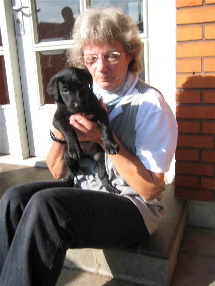 Blanding af racer Millie *R.I.P*<3ILU - Millie og min mor billede 8