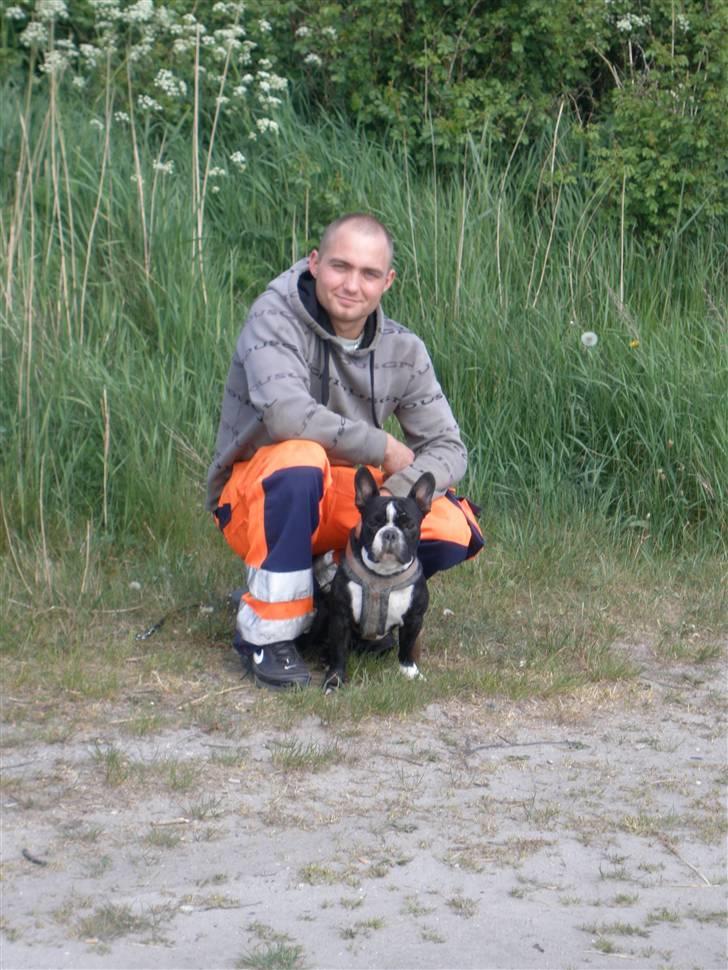 Fransk bulldog Sumo :) - R.I.P :´( - miig og farmand :D billede 5