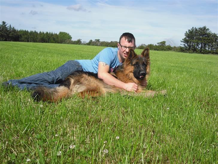Schæferhund Dexter nyt hjem - Jesper og dexter hygger på marken billede 1