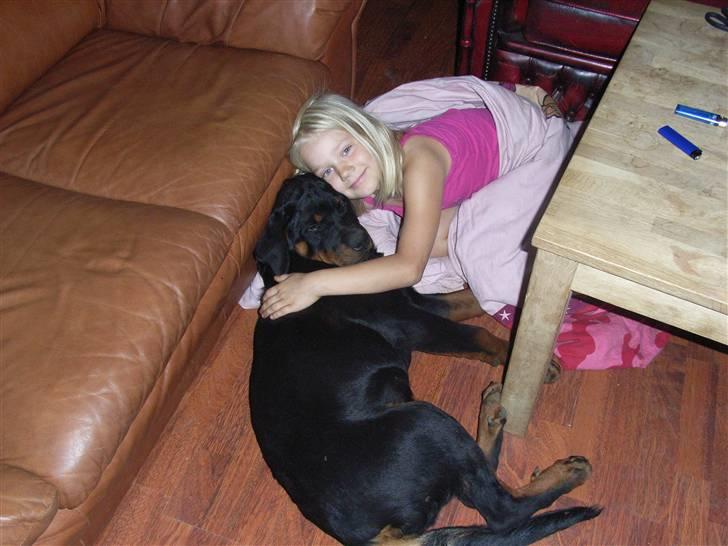 Rottweiler Mantos *RIP* billede 20