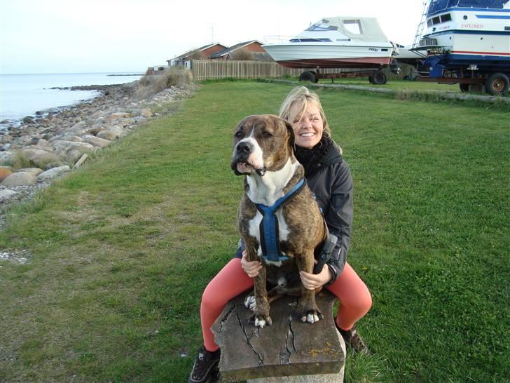 Blanding af racer Cosmo - søde cosmo billede 10