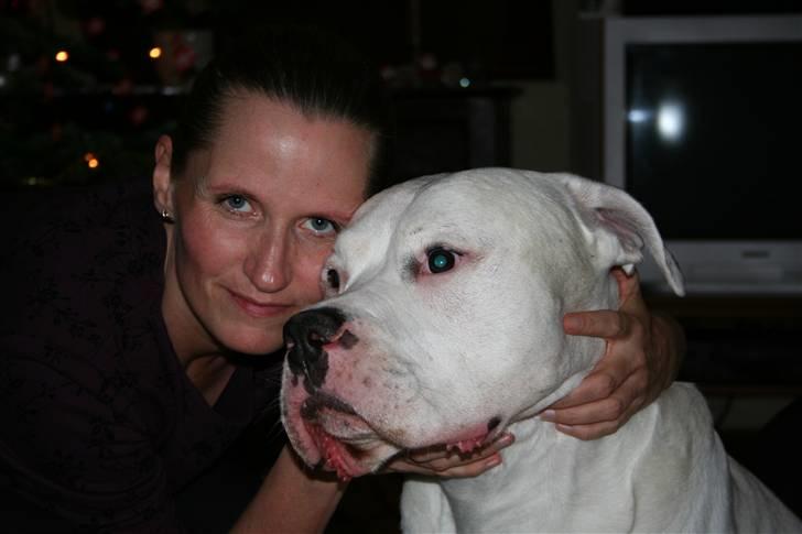 Amerikansk bulldog Jones billede 11