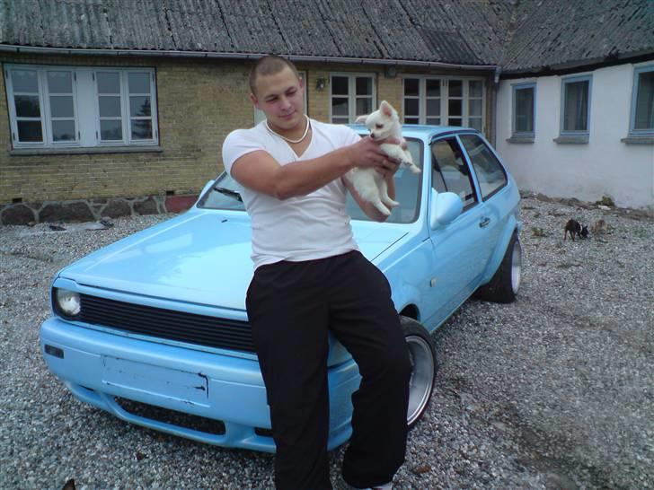 Chihuahua Kenzo billede 20