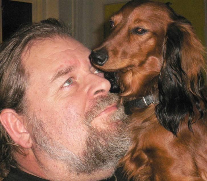 Dværggravhund  Anton  Himmelhund - Anton er far`s hund !!! billede 10