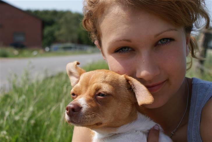 Blanding af racer Mala  billede 6