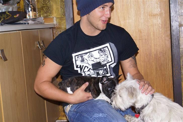 Fransk bulldog Albert - Så hilser jeg lige på Frida for første gang, men hun er lidt stor og lidt voldsom:) billede 9