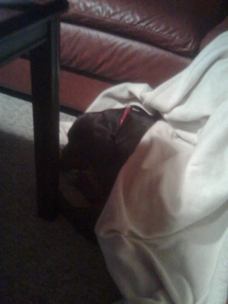 Blanding af racer Centa - Centa putter billede 19