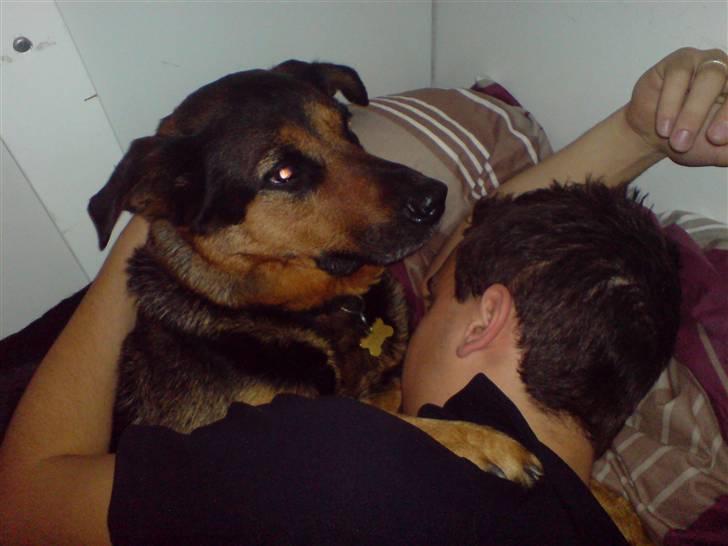 Blanding af racer Line *R.I.P* - Line og min mand :) billede 6