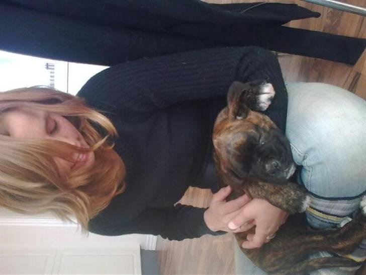 Boxer Charlie - ZZZzzzZZZ billede 6