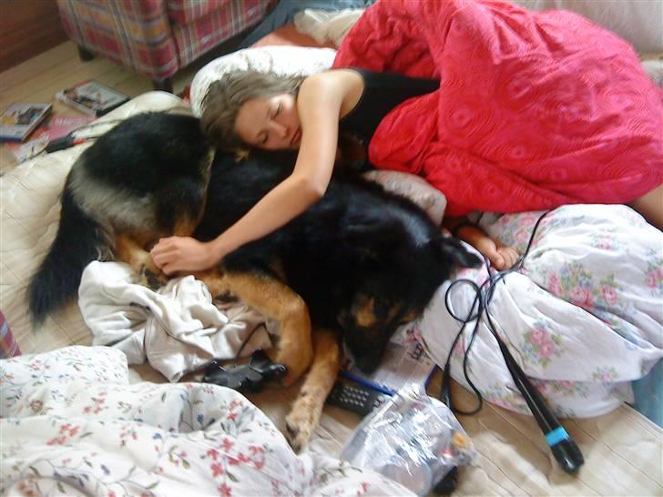 Blanding af racer Chili - Det er chili og hannah der sover oppe i mit sommerhus: ) billede 3