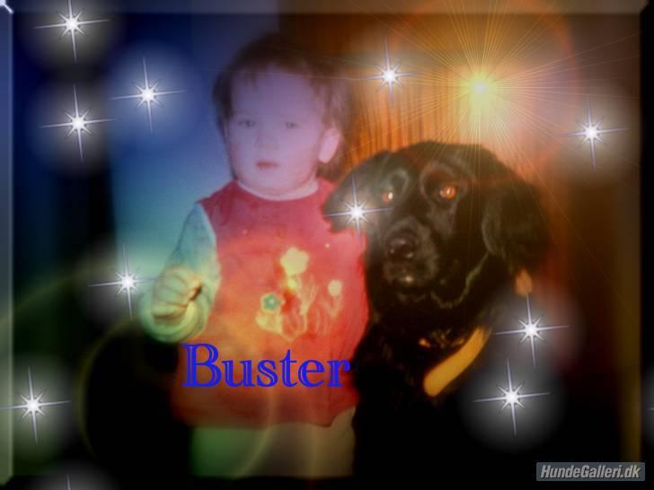 Blanding af racer Buster R.I.P billede 8
