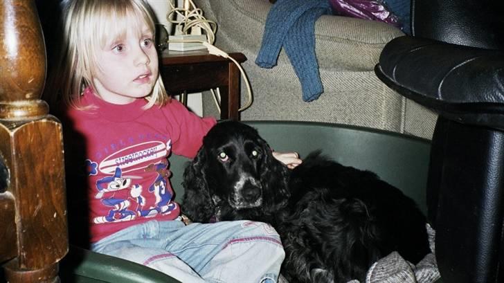 Cocker spaniel Bonnie (død 4 maj 2008)  billede 12