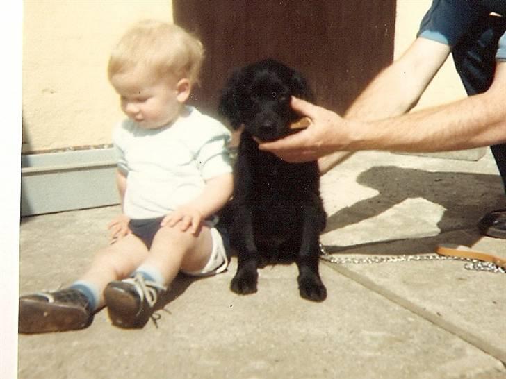 Blanding af racer Buster R.I.P billede 9