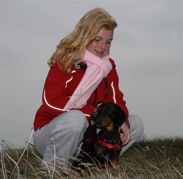 Dværggravhund futte - Futte og Niece Kristina. billede 17