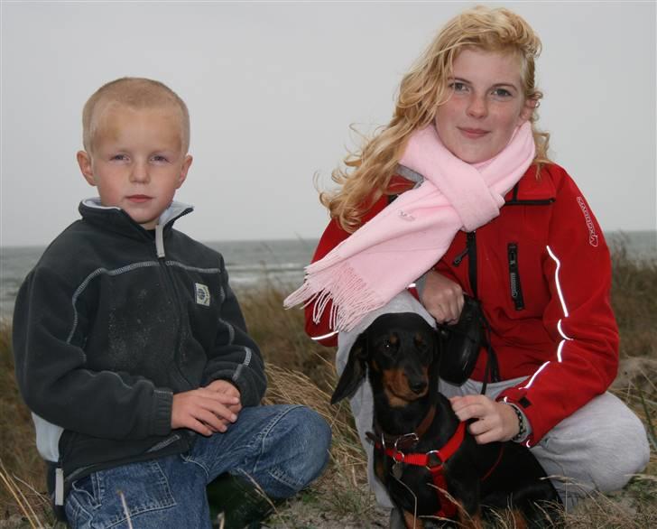 Dværggravhund futte - Futte med min søn Lasse og niece Kristina. billede 18