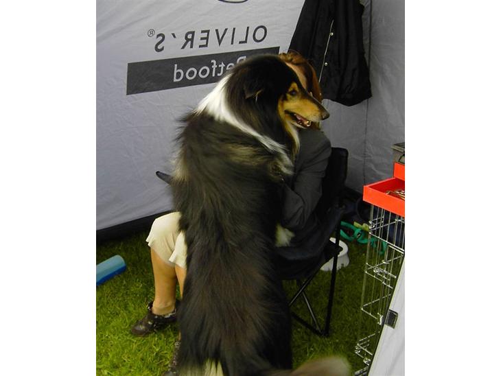 {{currentPhoto.altText}} billede {{currentPhoto.number}}