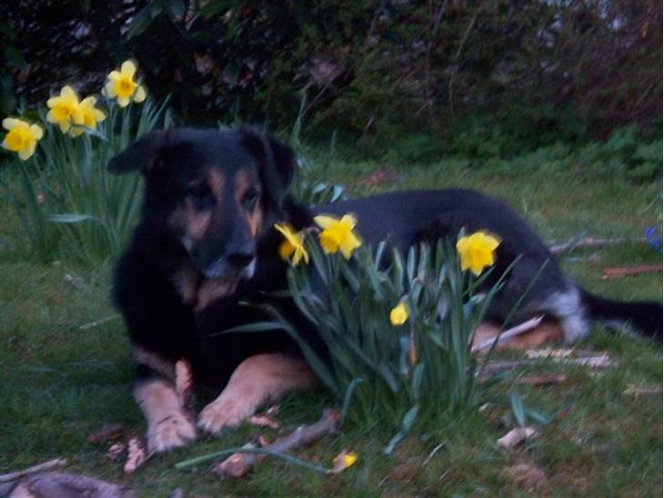 {{currentPhoto.altText}} billede {{currentPhoto.number}}