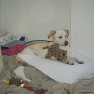 Blanding af racer Anna