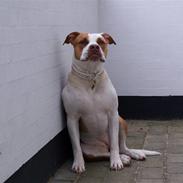 Blanding af racer Bertha