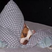 Blanding af racer Bertha