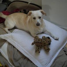 Blanding af racer Anna