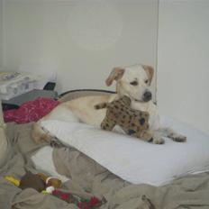 Blanding af racer Anna