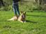 Blanding af racer Rocky - Velkommen til Rocky´s profil