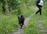 Rottweiler Berta - ses mor